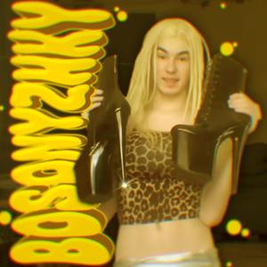 BOSONYZHKY FUNK (Slowed)