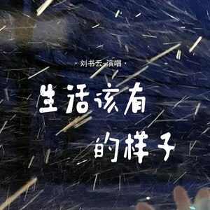 生活该有的样子 (DJ阿尼版) - 刘书云封面