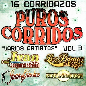 Puros Corridos, Vol. 3