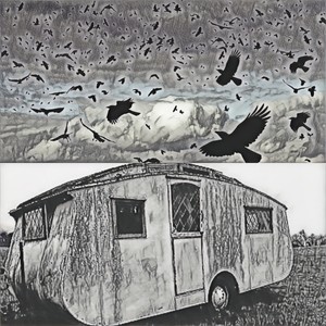 Crow on My Caravan