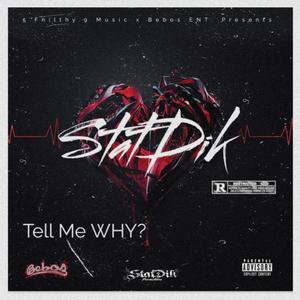 Tell Me WHY? (Explicit)