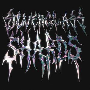 Silver Glass Shards (feat. DASHCAM*DEVI) (Explicit)