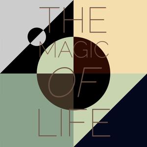 The Magic Of Life