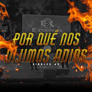 Por qué nos dijimos adiós (en vivo)