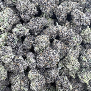 100 Rounds (Explicit)