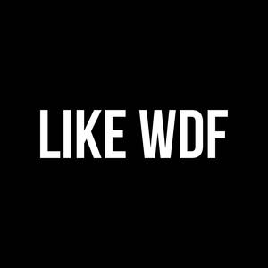 Like Wdf (feat. ynfvick5) [Explicit]