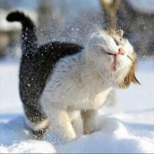 Gotta Have You-Dar8..