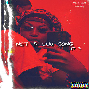 Not a Luv Song Pt. 2 (Explicit)