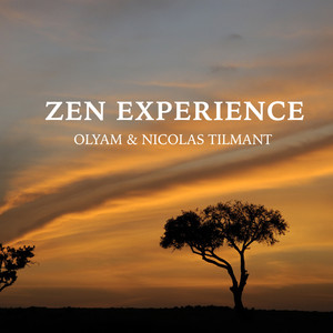 Zen experience