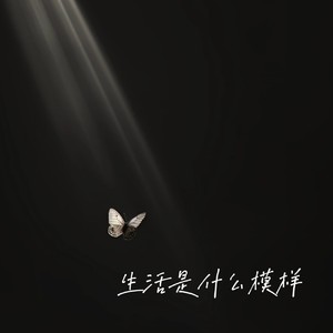 生活是什么模样