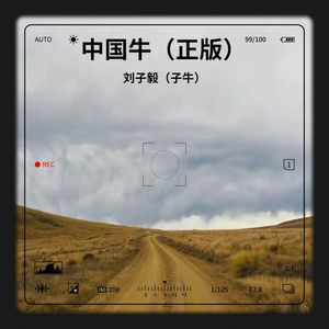 中国牛 (正版)