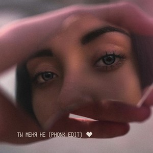 Ты меня не (Phonk Edit)