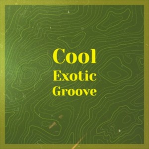 Cool Exotic Groove