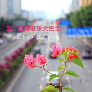 耳廓大巴士的音乐之旅part.2