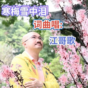 寒梅雪中泪 (伴奏)