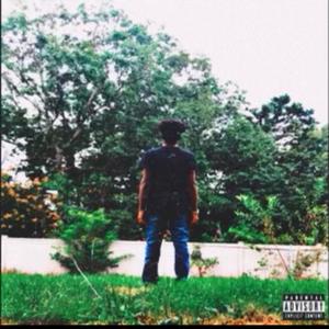 $$$$ (Explicit)