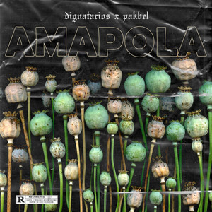 Amapola (Explicit)