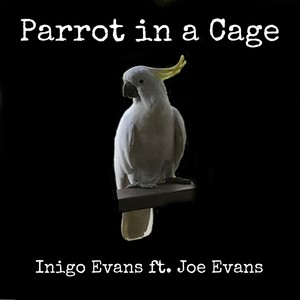 Parrot in a Cage (feat. Joe Evans)