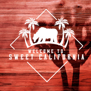 Galveston City Limits