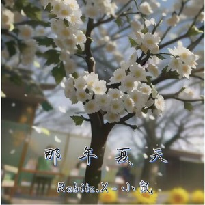 那年夏天 (伴奏)