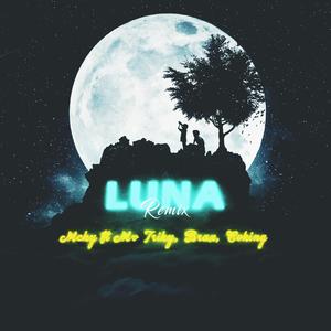 Luna (feat. Braxx, Coking & Mv Triky) [Remix] [Explicit]