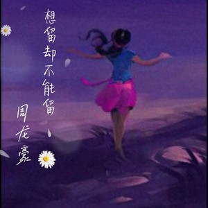 想留却不能留 (男声版)