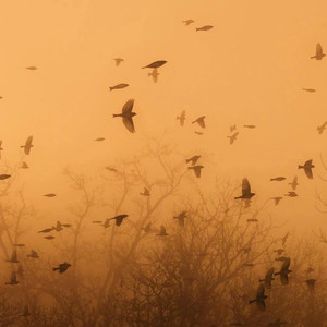 分手快乐（挥别错的才能和对的相逢）