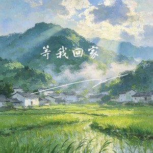 等我回家封面