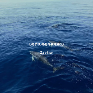 One More Light (回到过去)-Zarkoz