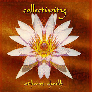 Collectivity