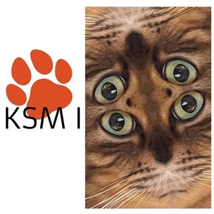 KSM, Vol. 1