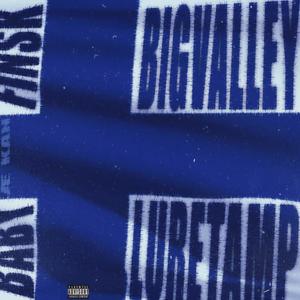 BABY Æ KAN FINSK (BigValley Remix|Explicit)