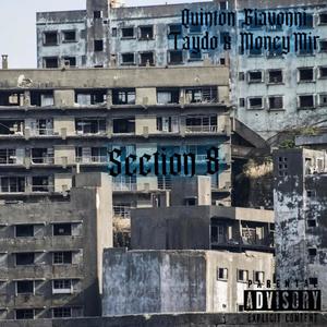 Section 8 (feat. Taydo & Money Mir) [Explicit]