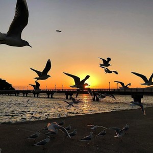 王笑然 - 那天的风景 (Live)