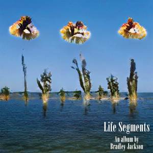 Life Segments