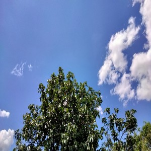 Summer