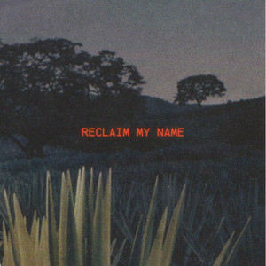 Reclaim My Name