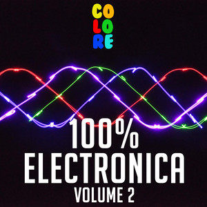 100% Electronica, Vol. 2