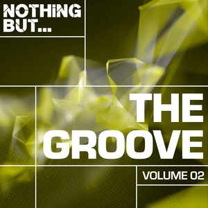 Nothing But... The Groove, Vol. 02