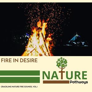 Fire in Desire - Crackling Nature Fire Sounds, Vol.1