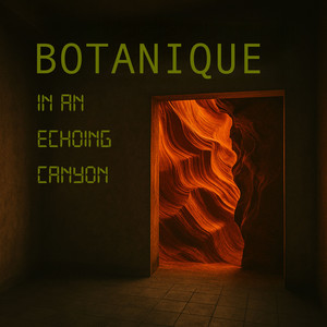 In An Echoing Canyon