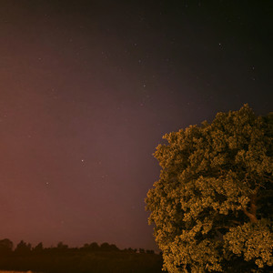 To Young to Know, to Old to Ask