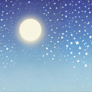 繁星下的寂静夜曲封面