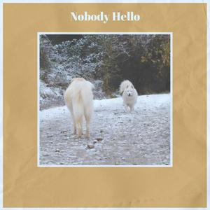 Nobody Hello