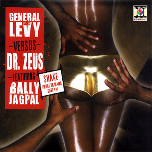 Shake(What Ya Mama Gave Ya) (- The Main Mix)