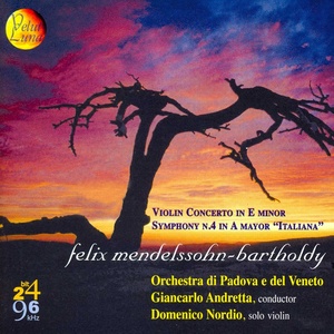 Violin Concerto No. 2 in E Minor, Op. 64 - I. Allegro con fuoco