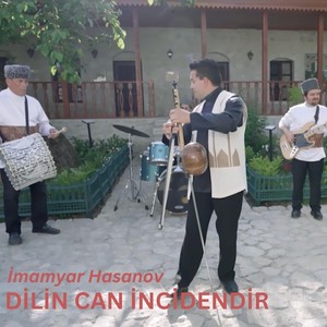 Dilin Can İncidendir