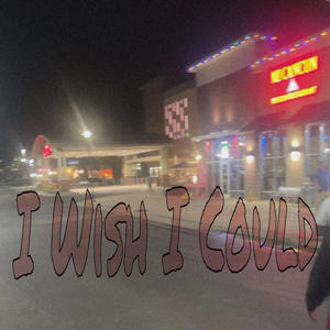 I Wish I Could (feat. TYB Devo) [Explicit]