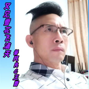 又见雪花飞满天