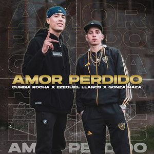 Amor Perdido (Remix)